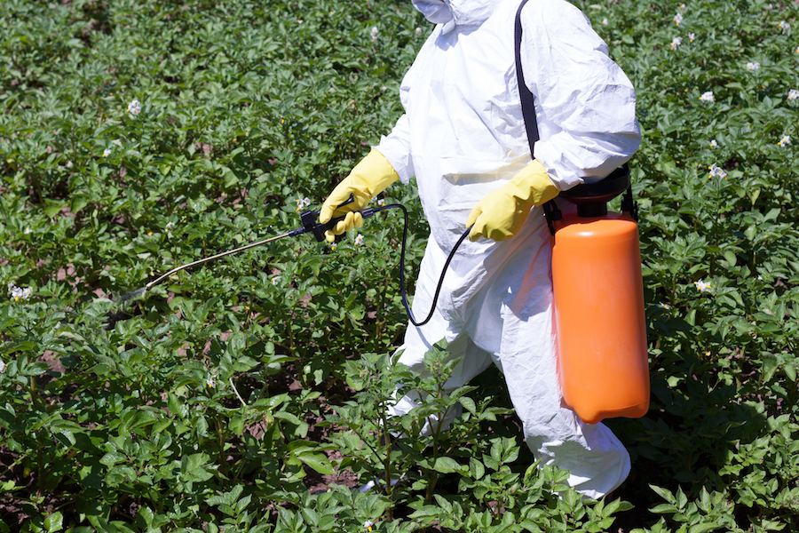 Our Story: How Glyphosate And Other Chemicals Are Affecting Your Food